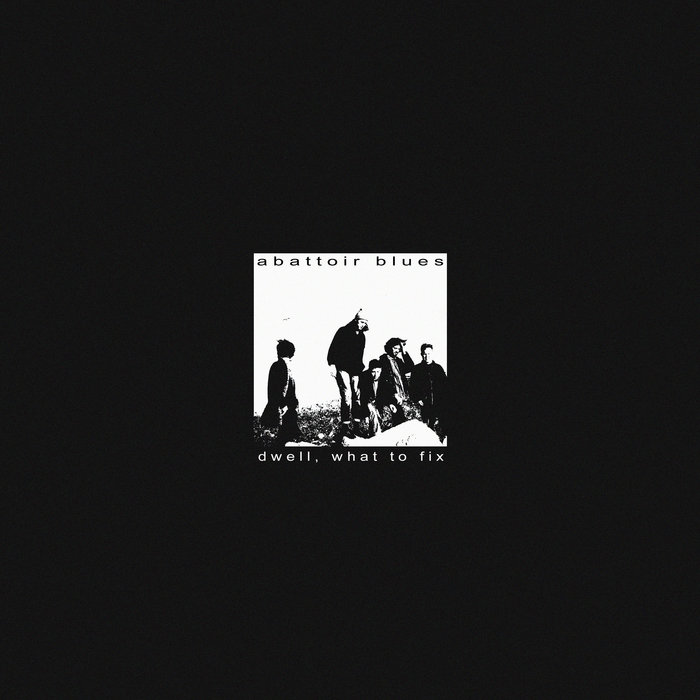 Abattoir Blues – Dwell / What to Fix